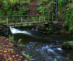 Glenoe waterfall in Autumn